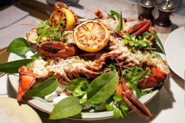 Premium Lobster at angelina this April